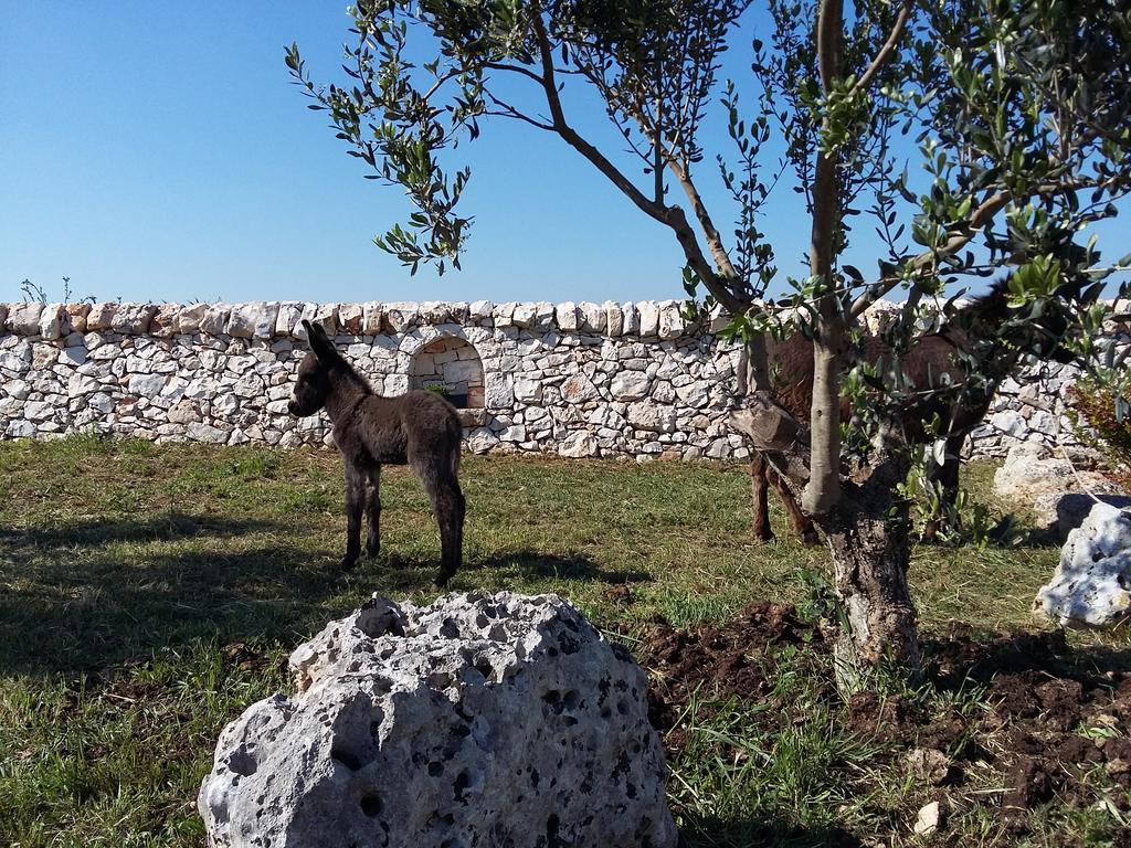 Agriturismo Masseria Casedde Vecchie Vila Martina Franca Exterior foto
